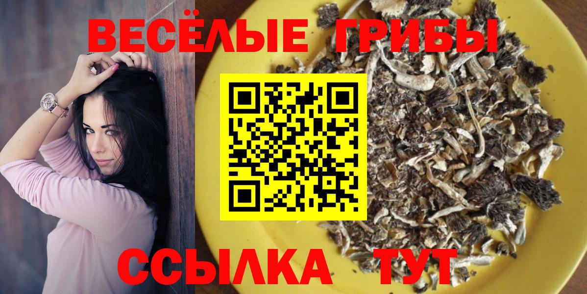 Галлюциногенные грибы прущие грибы Химки